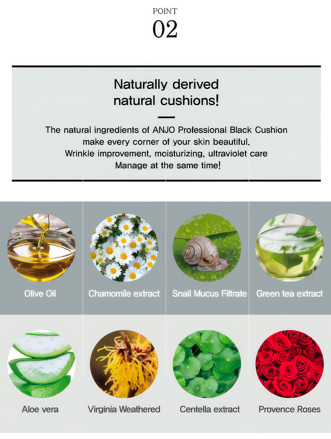 4214-Anjo-Black-Cushion-intro-06